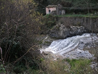 cantara gurne23122011 069